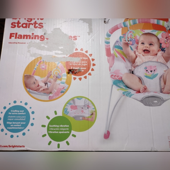 Bright star flamingo vibes bouncer - Picture 1 of 7